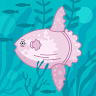 SharkTagger