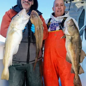 Captree Princess Cod - 4-6-19.jpg