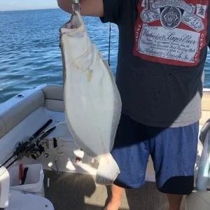 10 LB FLUKE.jpg