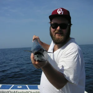 PICT0007.JPG