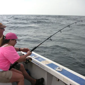 PICT0008.JPG