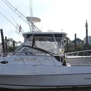 Boat 2019 (2).jpg