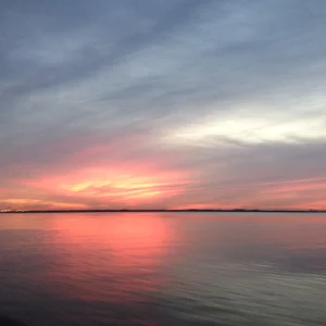 D0CA1121-A473-4502-BA7F-7750995928E5.jpeg