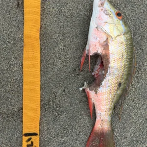 bite.JPG