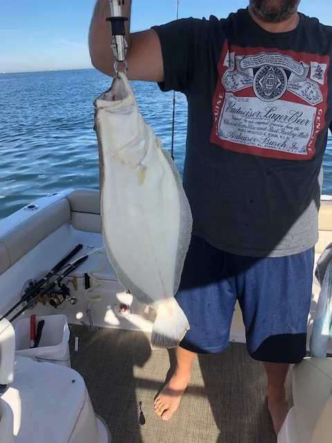 10 LB FLUKE.jpg