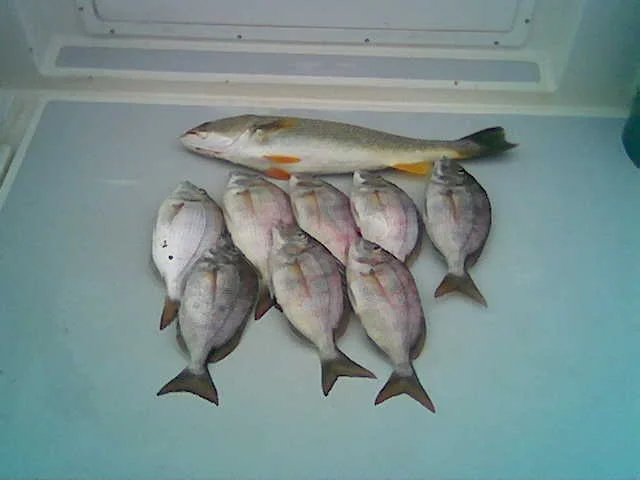 Image000.jpg