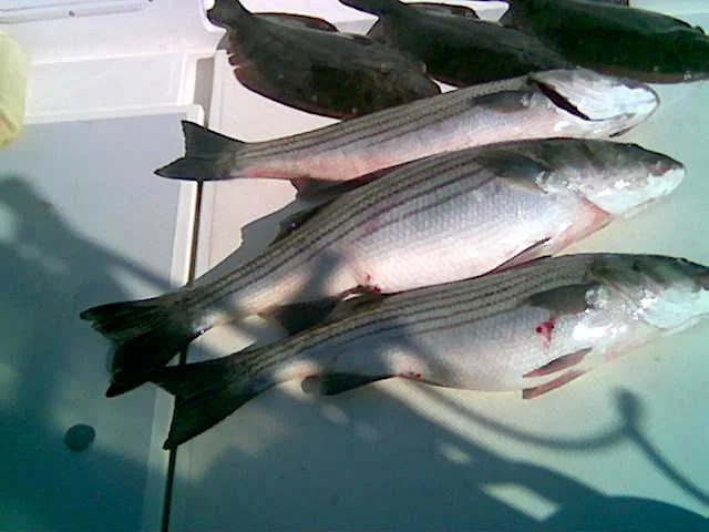 Image012.jpg
